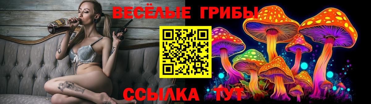 Сергиев Посад  Галлюциногенные грибы Cubensis  хочу наркоту  Вход с VPN 